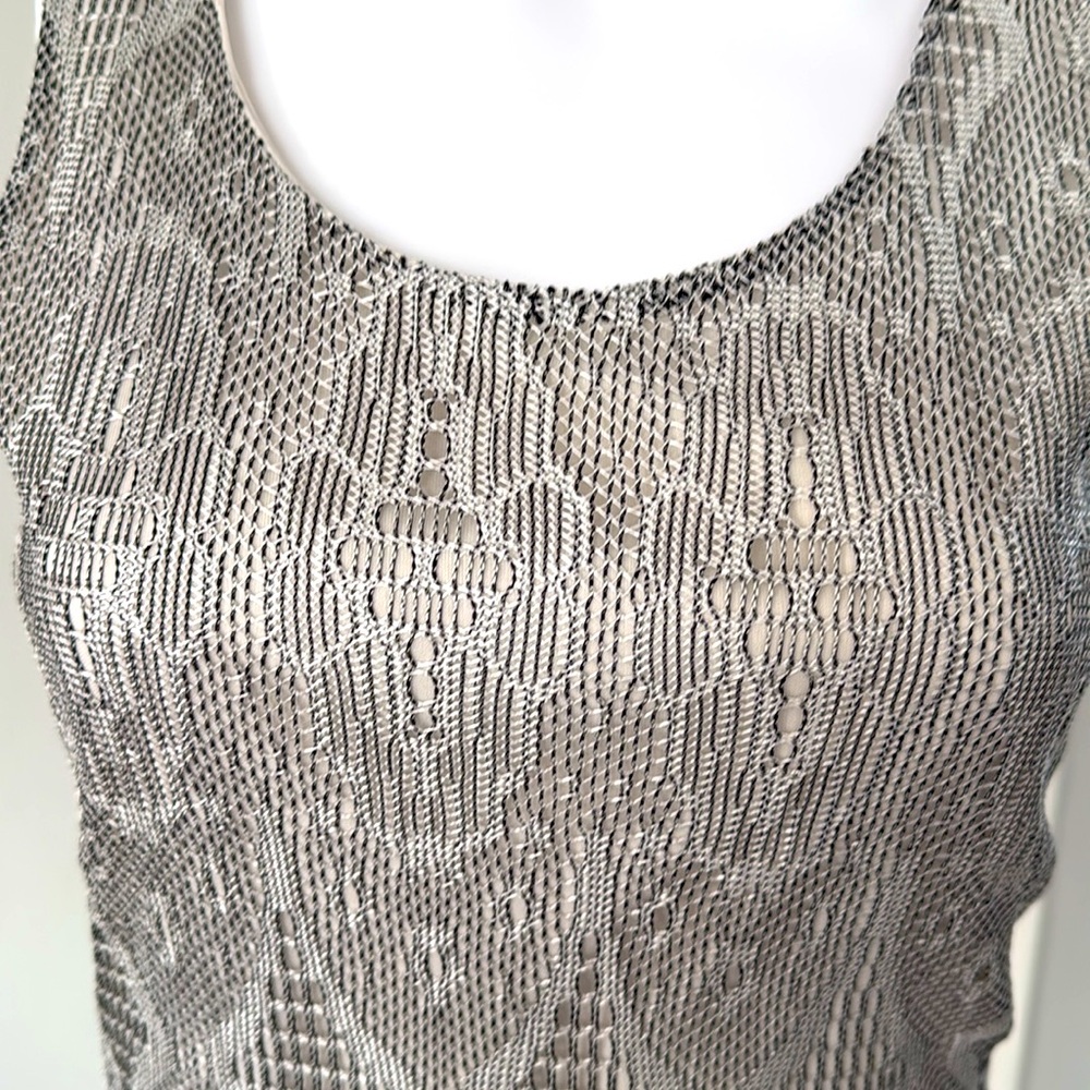 Silver Lace Crochet Bodycon Lined Dress with Fringe Hem Scoop Neck Sleeveless S - Picture 6 of 11